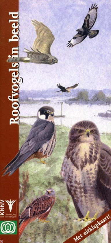 Roofvogels in beeld cover