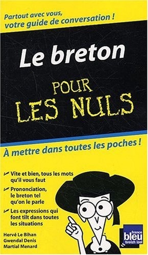 breton pour les nuls cover